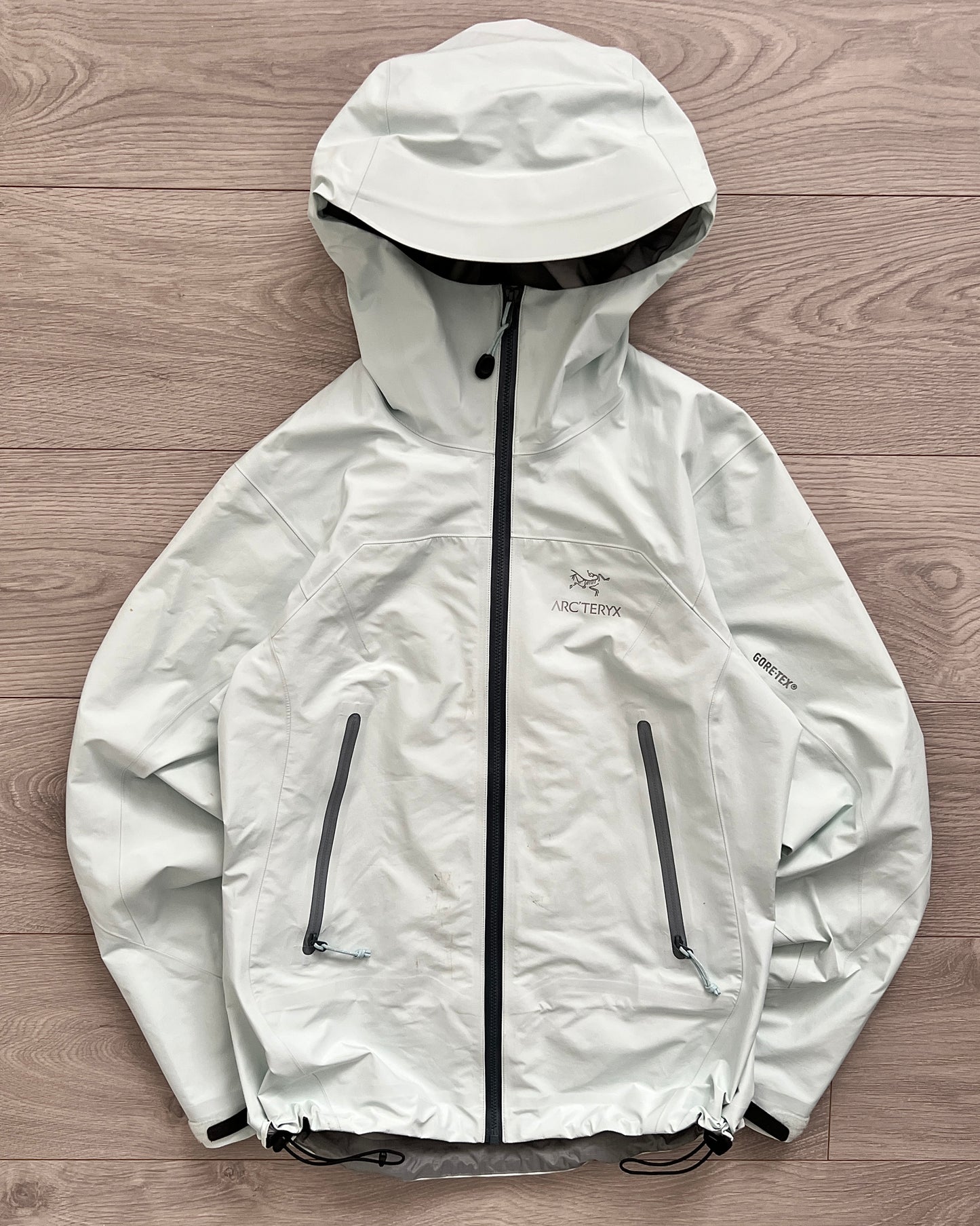 Arcteryx Zeta LT Gore-Tex Tech Jacket in Ether Blue - Size S Womens / XS Mens