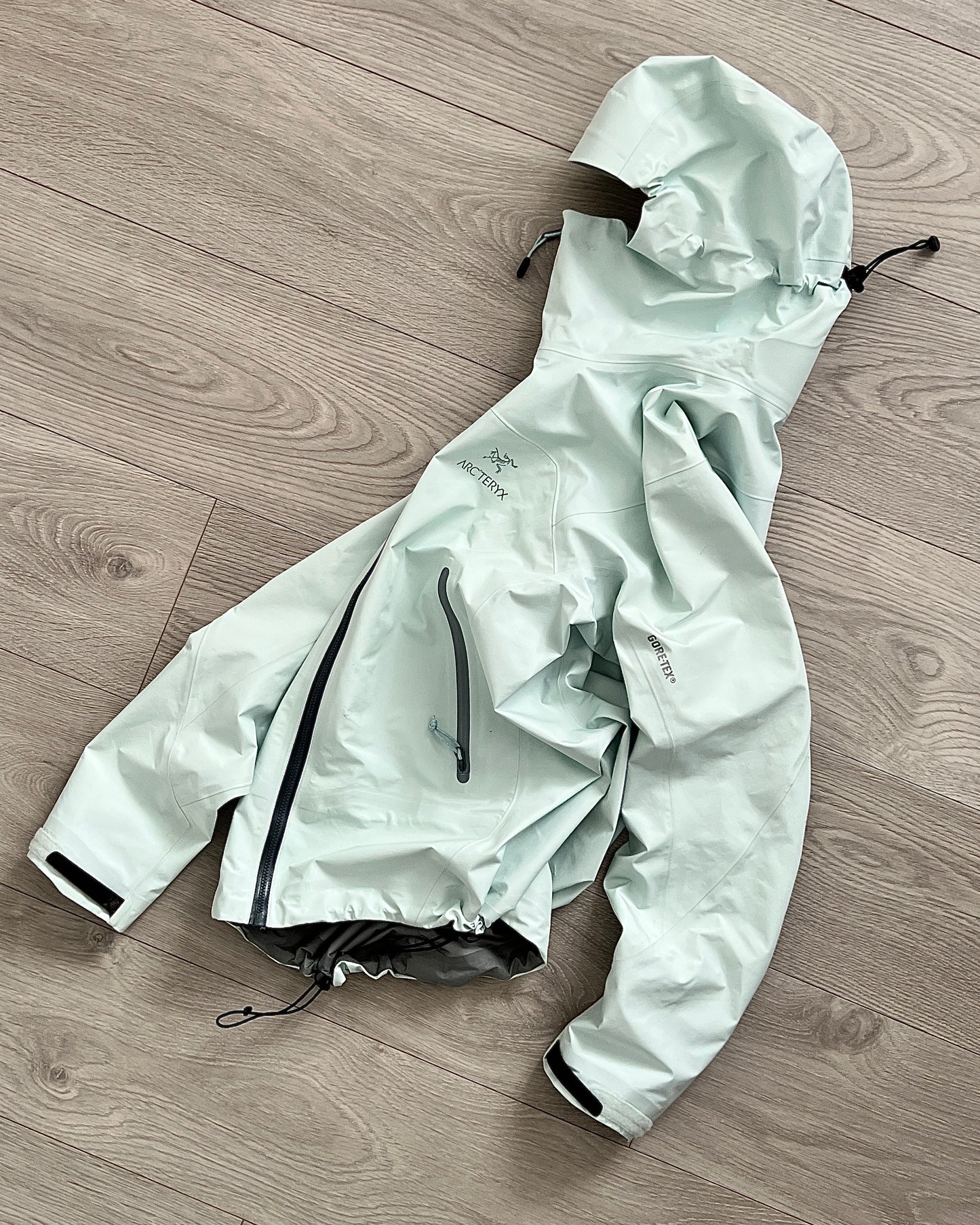 Arcteryx Zeta LT Gore-Tex Tech Jacket in Ether Blue - Size S Womens / XS Mens